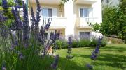 Apartment Branka Apartment Branka