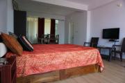 Top McLeod Ganj