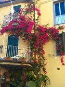 Top Riomaggiore Top Riomaggiore