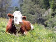 Top San Giovanni in Val Aurina