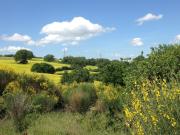 Top San Quirico dʼOrcia