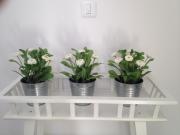 Top Vejer de la Frontera