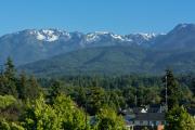 Top Port Angeles