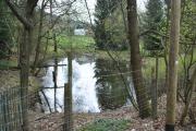 Top Crottendorf