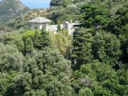 Top San-Martino-di-Lota