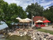 Top Fonyód Top Fonyód