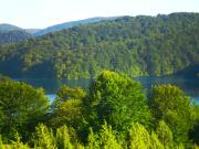 Top Seliste Dreznicko