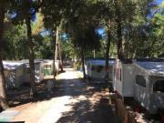 Top Meschers-sur-Gironde