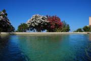 Top Pantelleria