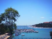 Top Pula