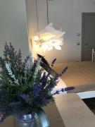 B&B Quasi in centro