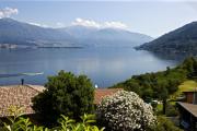 Top Pino Lago Maggiore