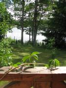 Top Wydminy Top Wydminy