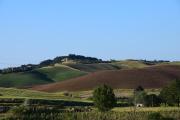 Top Chianni