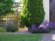 Apartament LAWENDA Apartament LAWENDA