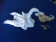 Top Misano Adriatico