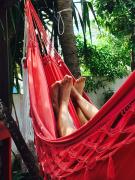 Top Jericoacoara