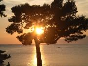 Top Makarska