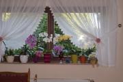 Top Waldfenster