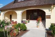 Top Waldfenster