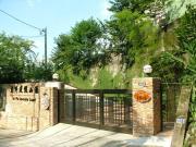 Top Lugu