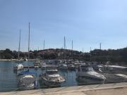 Top Pula