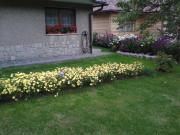 Top Zakopane Top Zakopane