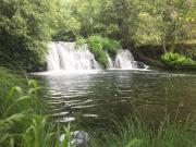 Top Castanheira de Pêra