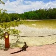 Lava Heron Galapagos Apartment