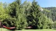 Pensiunea Alpin
