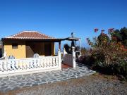 Top Icod de los Vinos