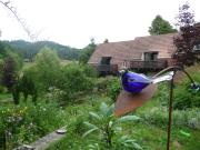 Top Obersteinbach