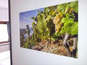 Top Zell an der Mosel