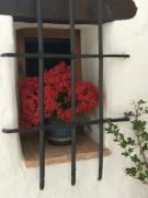 Top Villaluenga del Rosario