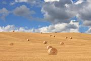 Top Castiglione dʼOrcia