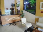 Top Três Corações