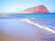 Luxury Apartment Las Terrazas