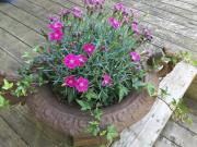 Top Värmdö Top Värmdö