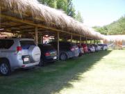 Top Ramallo