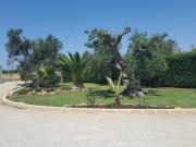 Top Galatone Top Galatone