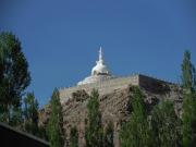 Top Leh