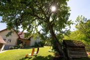 Top Loipersdorf bei Fürstenfeld
