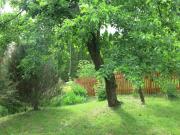 Top Krzywe Top Krzywe