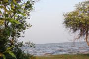 Top Phatthalung