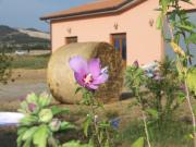 Top Venturina Terme Top Venturina Terme