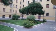 Top Rome
