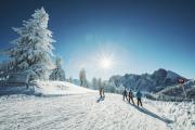 Top Russbach am Pass Gschütt