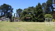Top Tandil