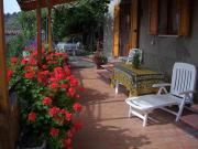 Top Bibbiena Top Bibbiena