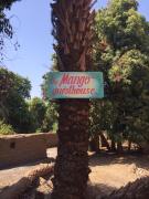 The Mango Guest House